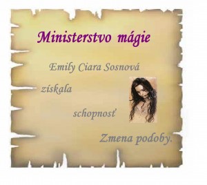 Obrázok