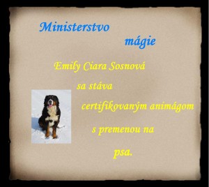 Obrázok