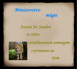 Obrázok