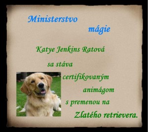 Obrázok